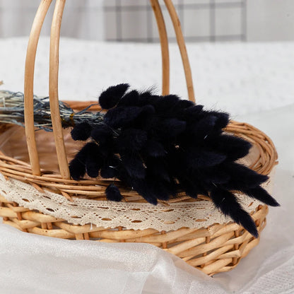 50-delige Gedroogde Hazenstaartgras Bos